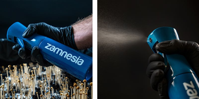 Ultra Fine Misting Bottle - Zamnesia